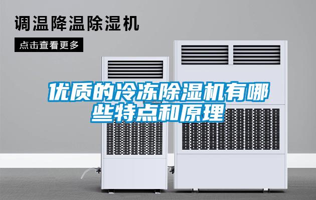 優(yōu)質(zhì)的冷凍除濕機(jī)有哪些特點(diǎn)和原理