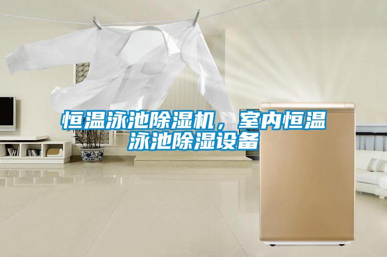 恒溫泳池除濕機，室內恒溫泳池除濕設備