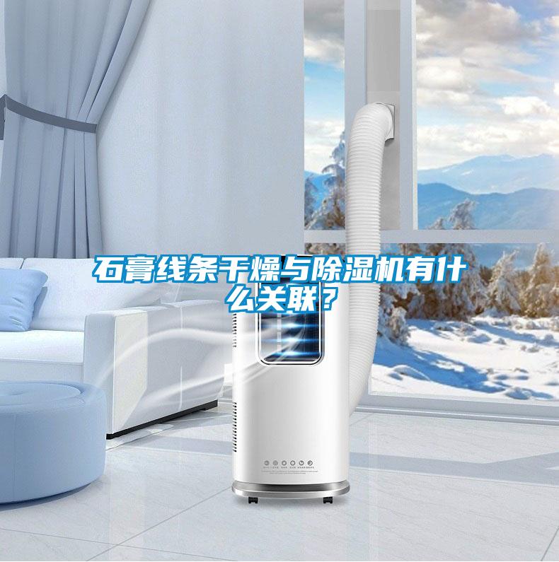 石膏線條干燥與除濕機有什么關聯？