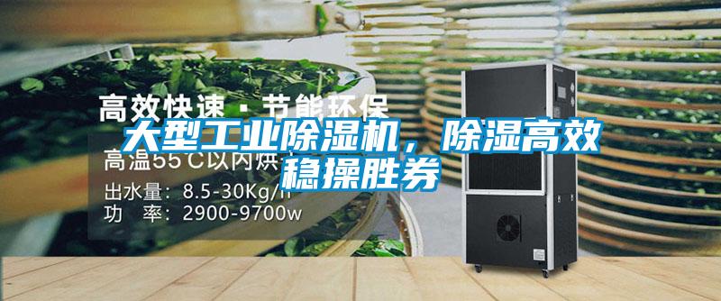 大型工業除濕機，除濕高效穩操勝券