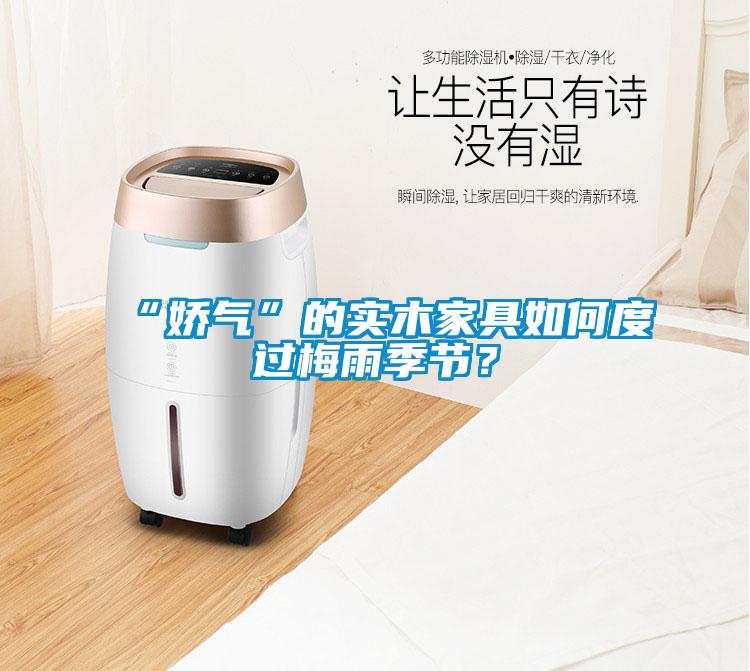 “嬌氣”的實木家具如何度過梅雨季節？