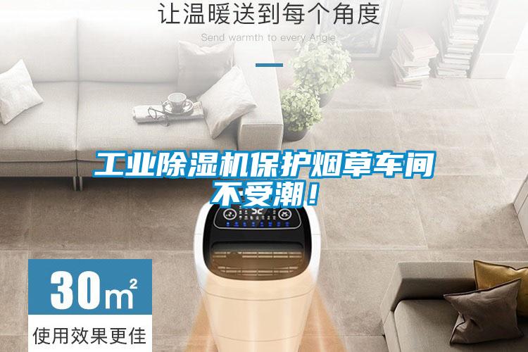 工業(yè)除濕機(jī)保護(hù)煙草車間不受潮！