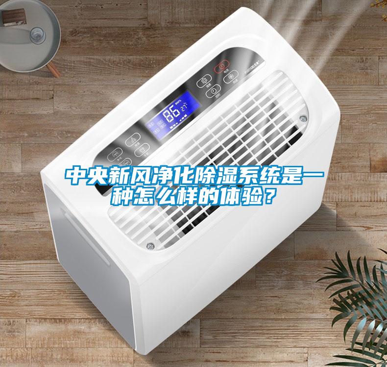 中央新風(fēng)凈化除濕系統(tǒng)是一種怎么樣的體驗？