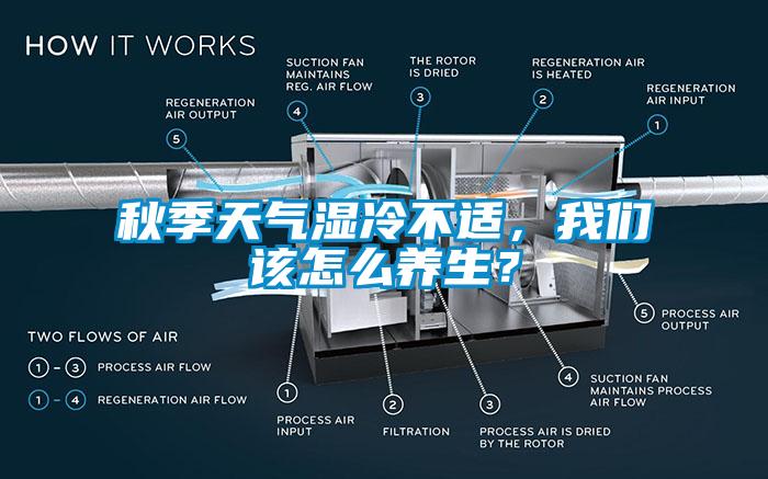 秋季天氣濕冷不適，我們該怎么養生？