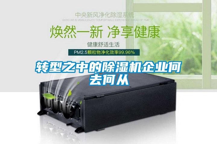 轉型之中的除濕機企業(yè)何去何從