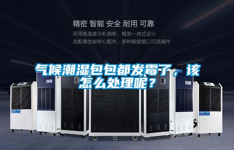 氣候潮濕包包都發霉了，該怎么處理呢？