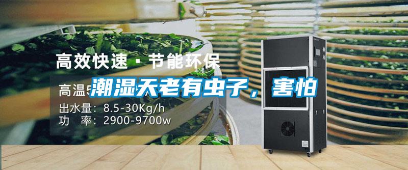 潮濕天老有蟲子，害怕