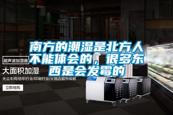 南方的潮濕是北方人不能體會的，很多東西是會發霉的
