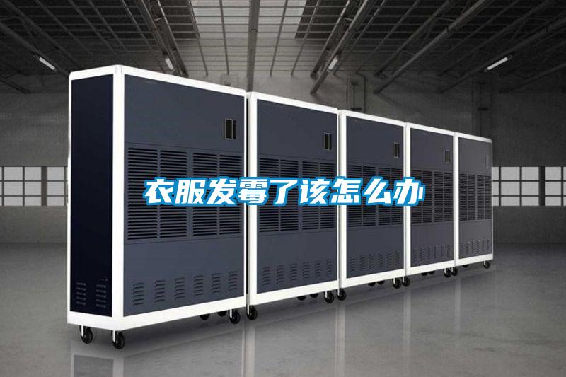 衣服發霉了該怎么辦
