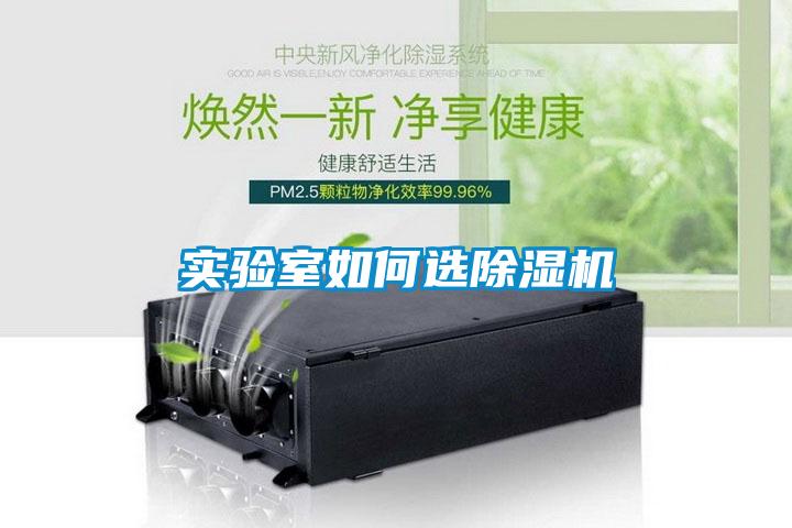 實驗室如何選除濕機