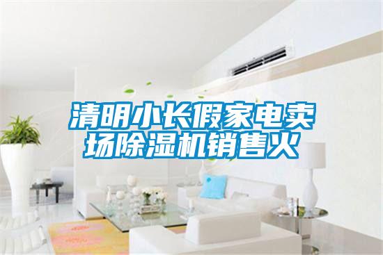 清明小長假家電賣場除濕機(jī)銷售火