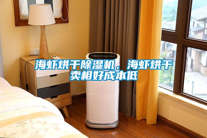 海蝦烘干除濕機，海蝦烘干賣相好成本低