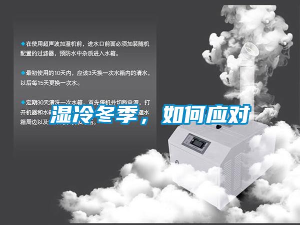 濕冷冬季，如何應對
