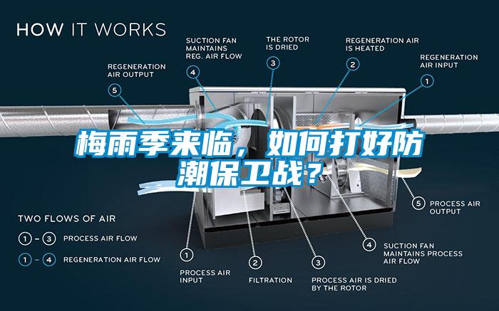 梅雨季來臨，如何打好防潮保衛戰？