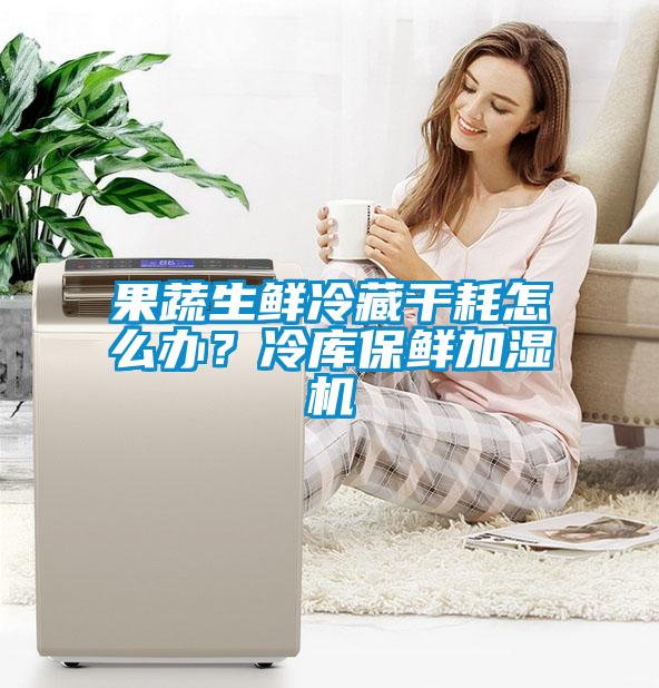 果蔬生鮮冷藏干耗怎么辦？冷庫保鮮加濕機