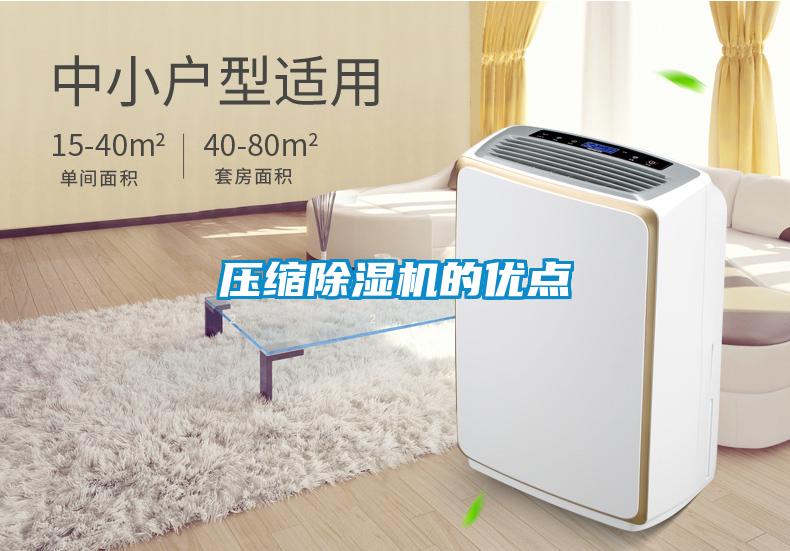 壓縮除濕機(jī)的優(yōu)點(diǎn)