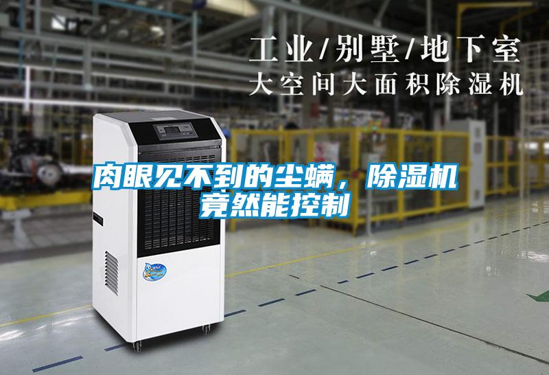 肉眼見不到的塵螨，除濕機竟然能控制