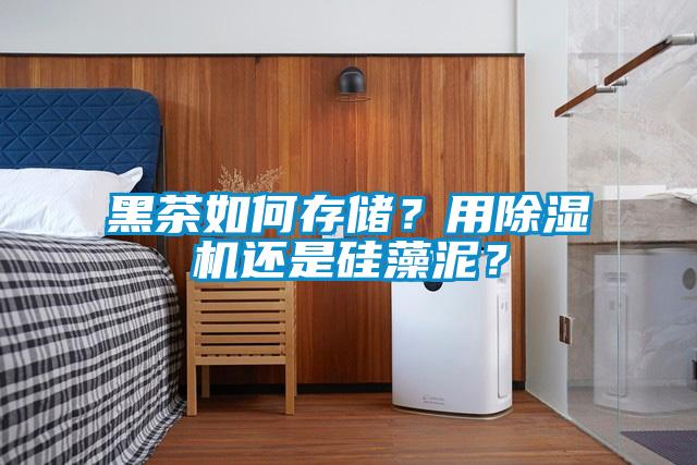 黑茶如何存儲？用除濕機還是硅藻泥？