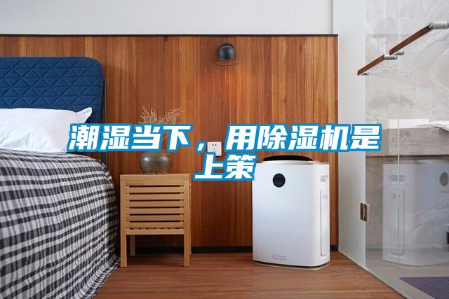 潮濕當下，用除濕機是上策