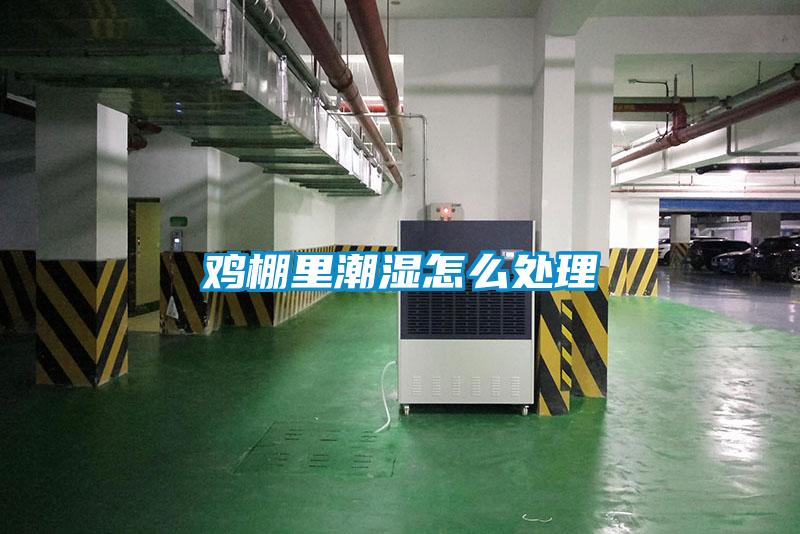 雞棚里潮濕怎么處理