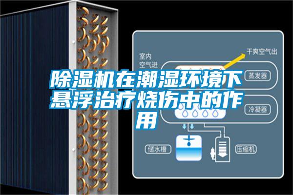 除濕機在潮濕環境下懸浮治療燒傷中的作用