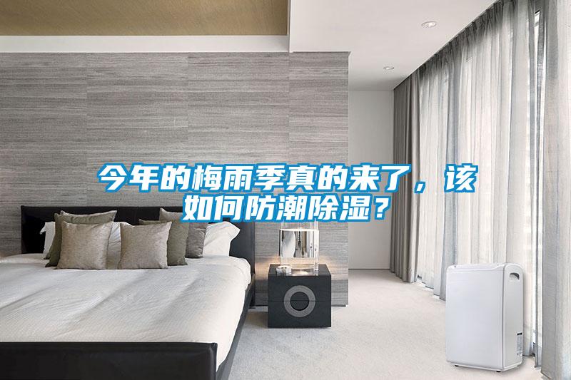 今年的梅雨季真的來了，該如何防潮除濕？