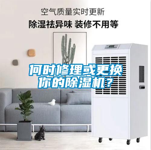 何時修理或更換你的除濕機？
