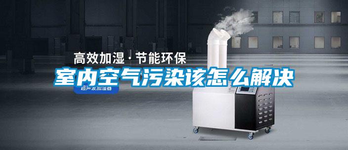 室內空氣污染該怎么解決