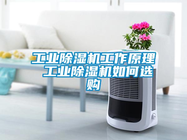 工業除濕機工作原理 工業除濕機如何選購
