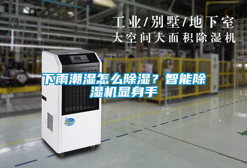 下雨潮濕怎么除濕？智能除濕機顯身手