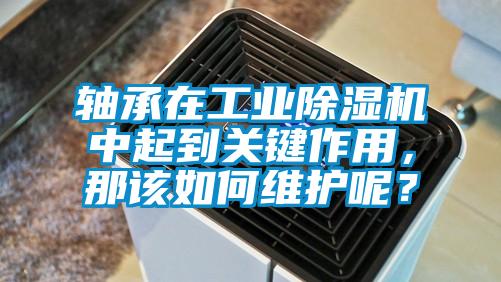 軸承在工業(yè)除濕機(jī)中起到關(guān)鍵作用，那該如何維護(hù)呢？