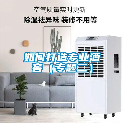 如何打造專業酒窖（專題二）