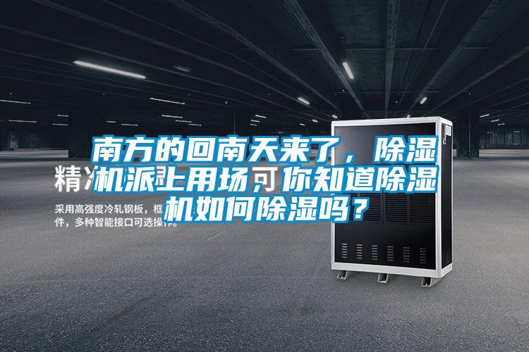 南方的回南天來了，除濕機派上用場，你知道除濕機如何除濕嗎？