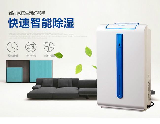 南方進入回南天，多肉植物這樣養才不會有事！