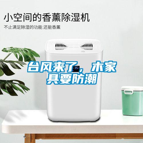 臺風來了，木家具要防潮