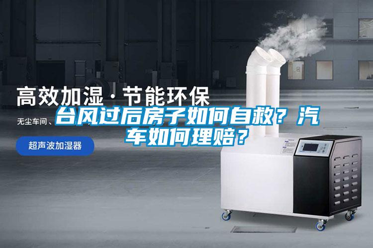 臺(tái)風(fēng)過(guò)后房子如何自救？汽車如何理賠？
