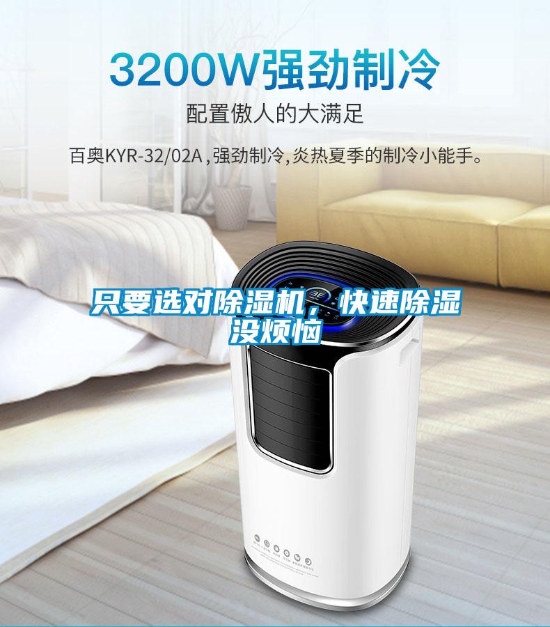 只要選對除濕機，快速除濕沒煩惱