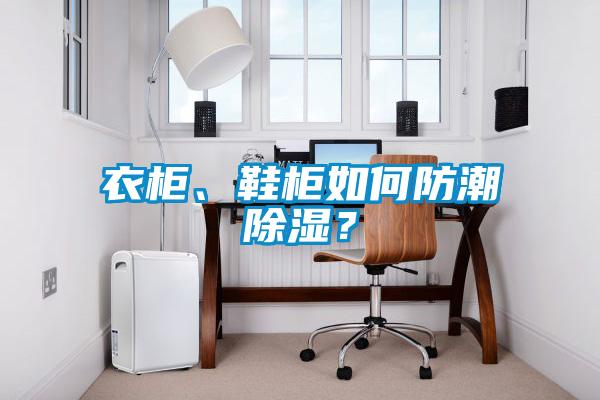 衣柜、鞋柜如何防潮除濕？