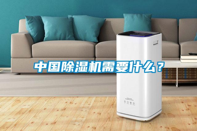 中國除濕機需要什么？