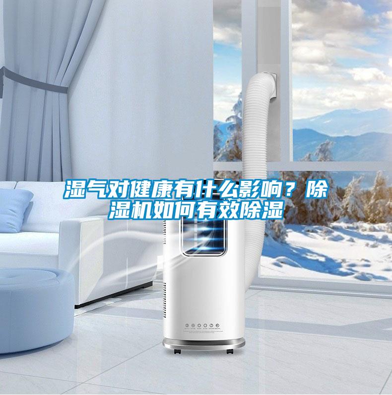 濕氣對(duì)健康有什么影響？除濕機(jī)如何有效除濕