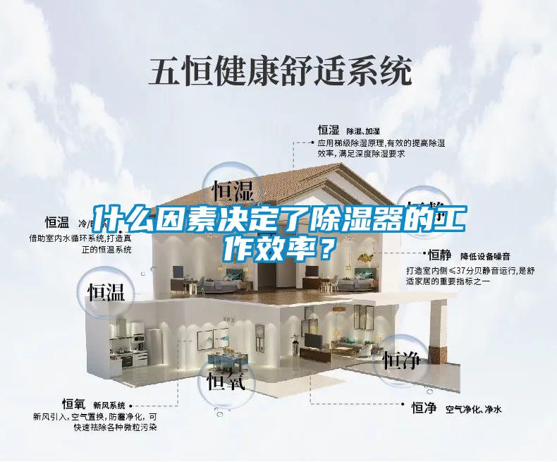 什么因素決定了除濕器的工作效率？