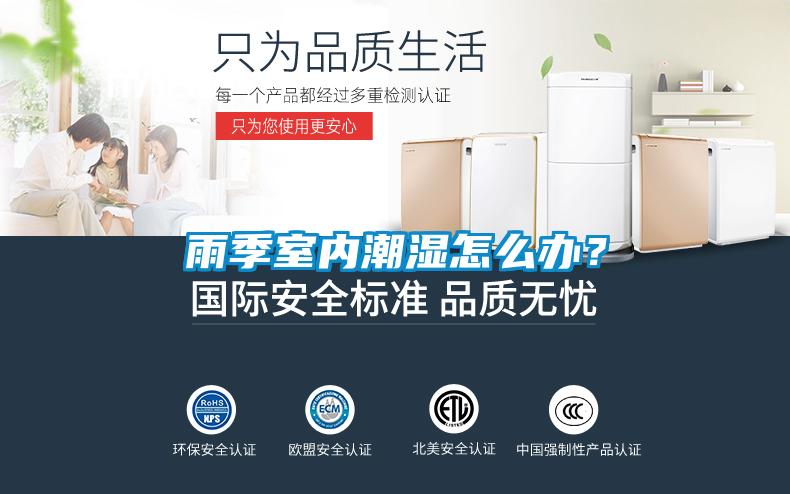 雨季室內潮濕怎么辦？