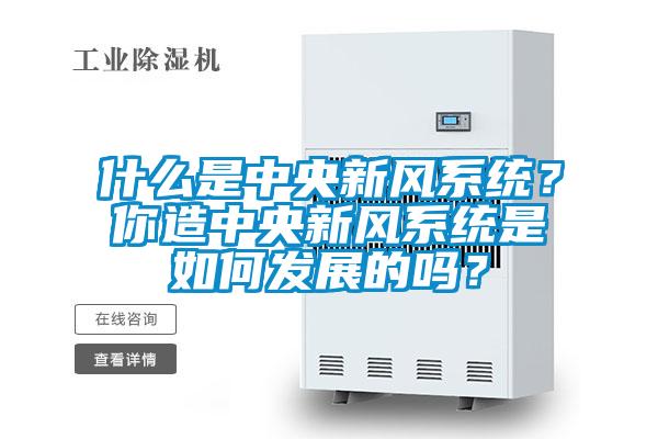 什么是中央新風系統？你造中央新風系統是如何發展的嗎？
