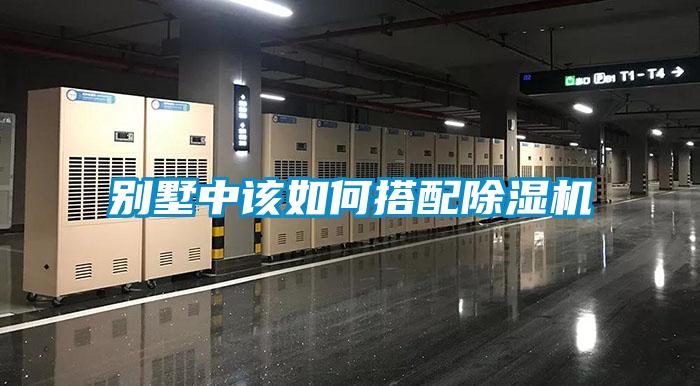 別墅中該如何搭配除濕機(jī)