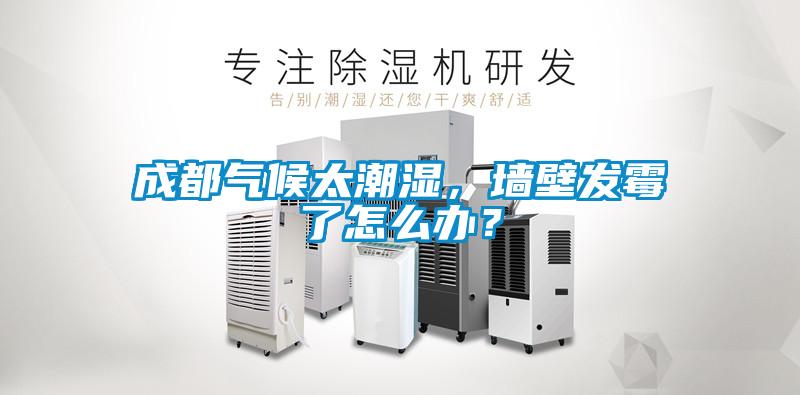 成都?xì)夂蛱睗?，墻壁發(fā)霉了怎么辦？