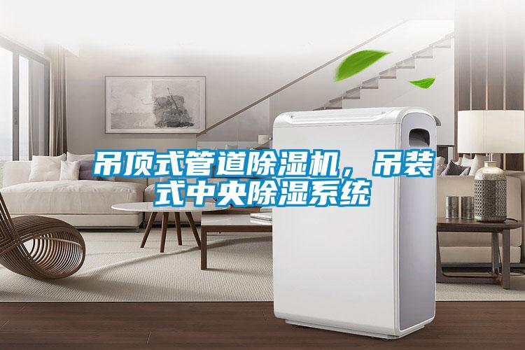 吊頂式管道除濕機，吊裝式中央除濕系統