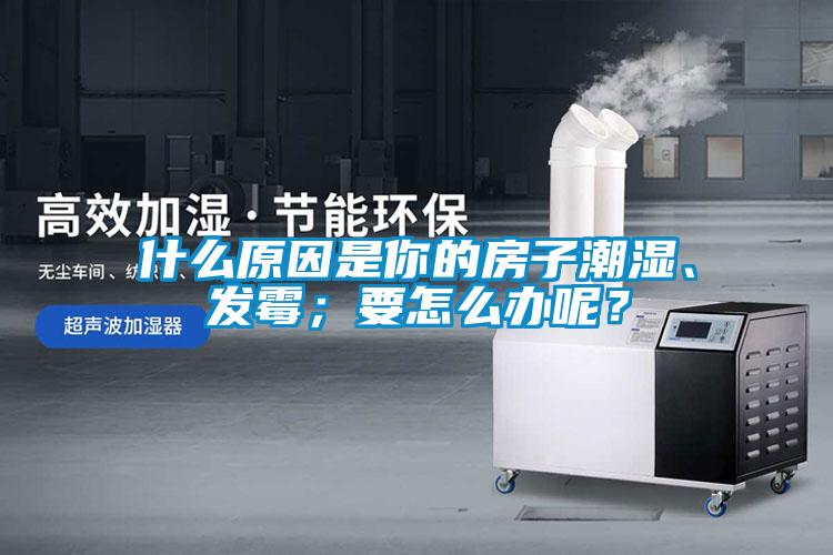 什么原因是你的房子潮濕、發霉；要怎么辦呢？