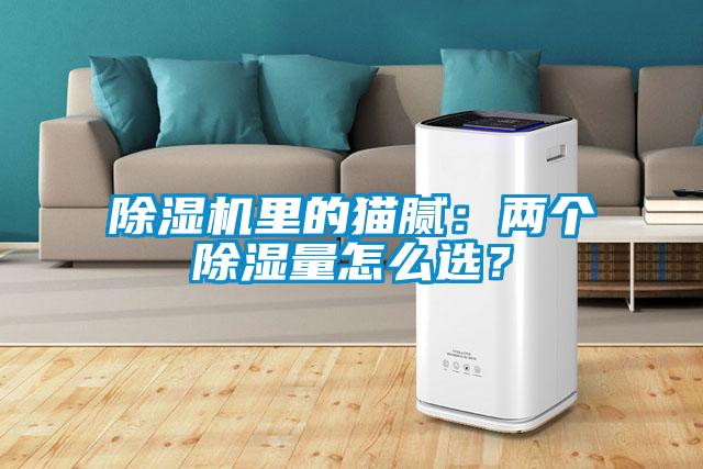 除濕機里的貓膩：兩個除濕量怎么選？
