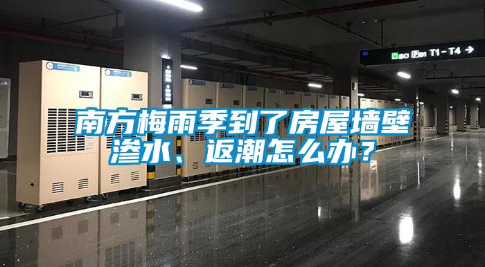 南方梅雨季到了房屋墻壁滲水、返潮怎么辦？