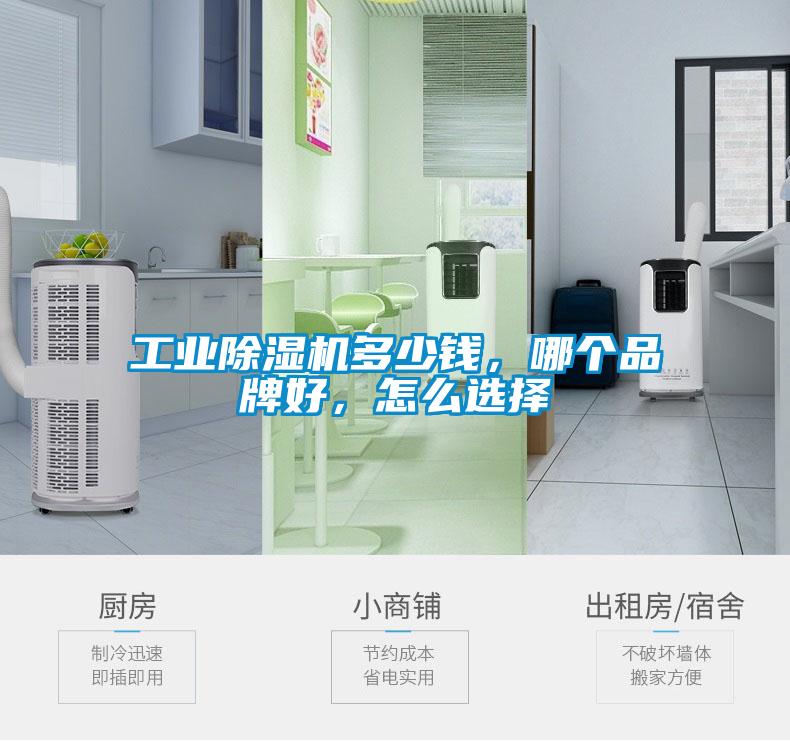 工業(yè)除濕機(jī)多少錢，哪個(gè)品牌好，怎么選擇